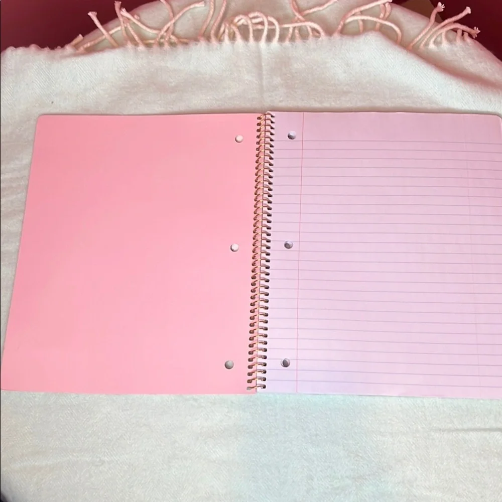 NWT Pink Strawberry Spiral Notebook- Back to School Great Gift